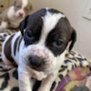 Meet your Posher, Mathew